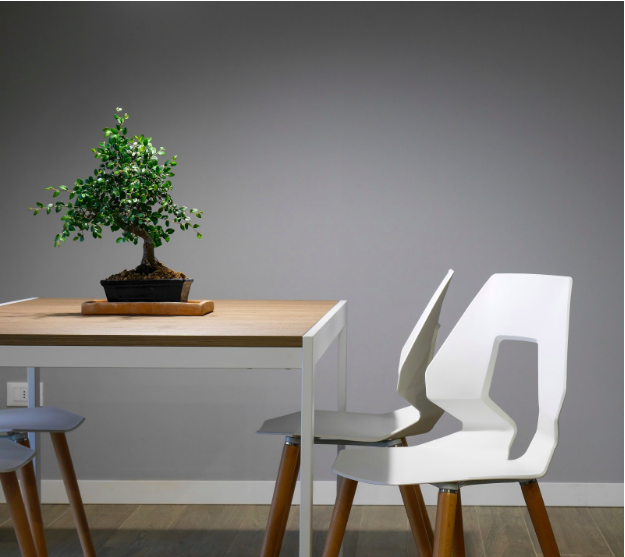 Preparing To Shop: Smart Buying Tips To Refresh The Home Of Your Dreams